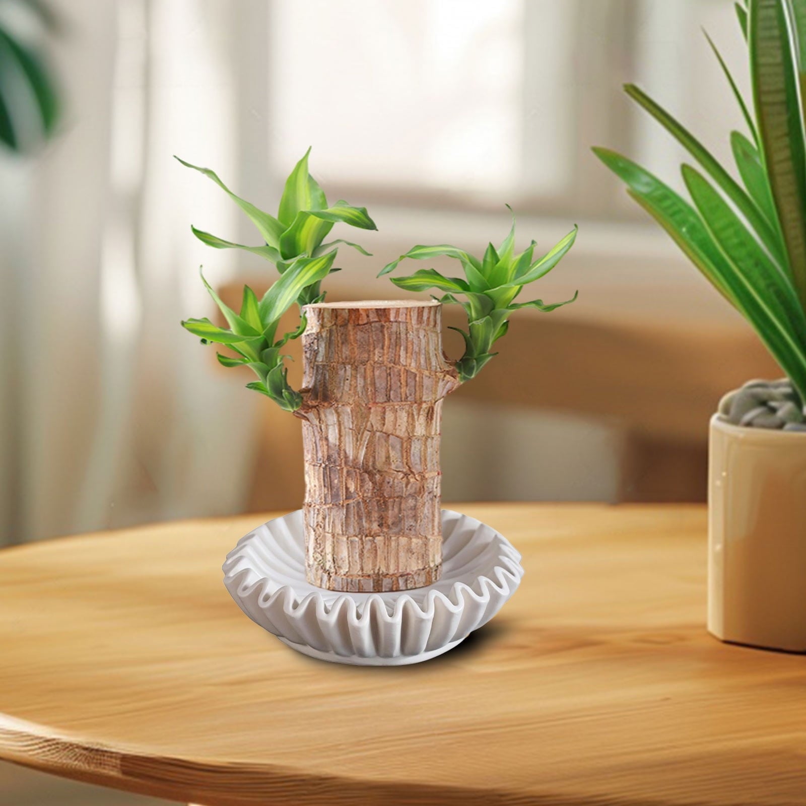 Darzheoy Ruffled Decorative Bowl, White Decorative Bowls for Home Decor, Fluted Fruit Bowl, Decorative Flower Bowl Accents for Styling Coffee Table Bookshelf Console Table Decor White
